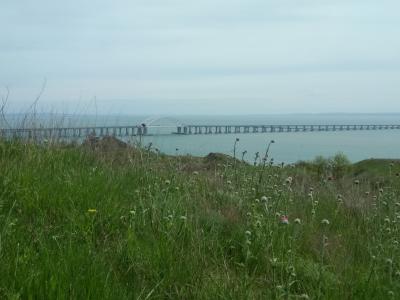 Прикрепленное изображение: IMG_20220501_114005.jpg